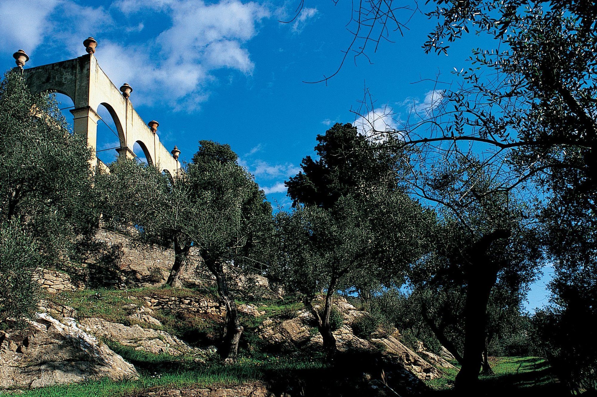 Bagni Di Pisa Palace & Thermal Spa - The Leading Hotels Of The World San Giuliano Terme Tiện nghi bức ảnh Olive trees in the hills of Andalusia